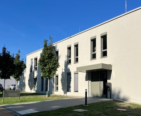 Foto unseres Kursortes