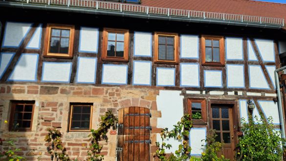 Foto unseres Kursortes